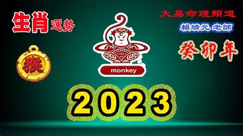 2023猴年運勢|猴年運勢 2023：決心和有利可圖的投資